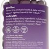 Organic Elderberry Gummies with Zinc and Vitamin C (120 Count) - Two-Month Supply, Certified USDA Organic 3-in-1 Chewable Sambucus Elderberry Gummies, Immune Support Supplement - Image 7