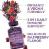 Organic Elderberry Gummies with Zinc and Vitamin C (120 Count) - Two-Month Supply, Certified USDA Organic 3-in-1 Chewable Sambucus Elderberry Gummies, Immune Support Supplement - Image 5
