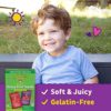 Annie's Organic Bunny Fruit Snacks, Gluten Free, Variety Pack, 12 Pouches - Image 3