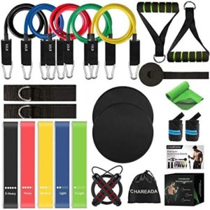 23 Pack Resistance Bands Set Workout Bands, 5 Stackable Exercise Bands 5 Loop Resistance Bands 2 Core Sliders – Door Anchor Handles Ankle Straps Carry Bag Instant Cooling Towel Wrist Wraps