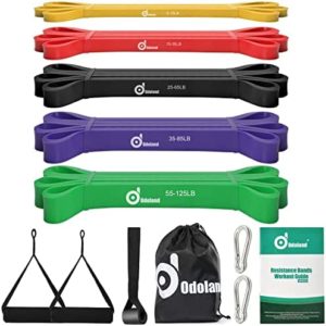 Odoland 5 Packs Pull Up Assist Bands, Pull Up Straps, Resistance Bands with Door Anchor and Handles, Stretch Mobility, Powerlifting and Extra Durable Exercise Bands with eGuide