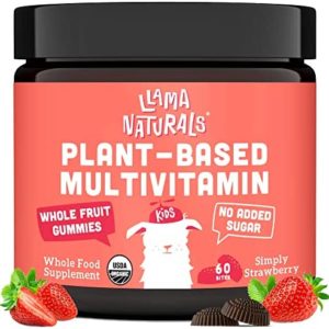 Whole Fruit Gummy Vitamins for Kids No Added Sugar, Vegan Kids Multivitamin Gummies, Plant Based Multivitamin for Kids, Whole Foods Toddler Vitamins, Organic Kids Vitamins Chewable 60 Bites Strawberry