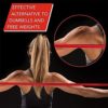 THERABAND Resistance Band Set, Professional Latex Elastic Bands for Upper & Lower Body & Core Exercise, Physical Therapy, Lower Pilates, at-Home Workouts, and Rehab, Beginner & Advanced Sets - Image 3