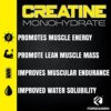 Forzagen Creatine Monohydrate Powder Unflavored - (72 Servings) - Image 5