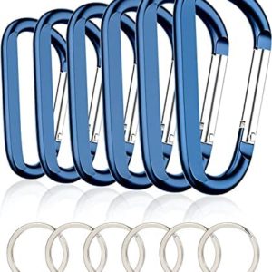 6PCS Carabiner Carabiner Clip,3 Inch Large Aluminum D Ring Shaped Carabiner with Keychain Hook, Spring Snap Hook for Bag/Buckle, Key Chain Clip, Backpack Clips, Key Hook for Pants, Clip on Keychain!