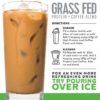 Protein Coffee Iced Coffee, High Protein Coffee, Protein Coffee, Keto Friendly, 18g of Protein, 2g Carbs, Natural Ingredients (18 Servings, Chocolate Iced Coffee) - Image 4