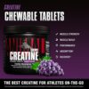 Animal Creatine Chews Tablets - Enhanced Creatine Monohydrate with AstraGin to Improve Absorption, Sea Salt for Added Pumps, Delicious and Convenient Chewable Tablets - Grape - Image 2