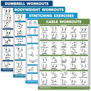 Palace Learning 4 Pack - Dumbbell Workouts + Bodyweight Workouts + Stretching Exercises + Cable Workout - Set of 4 Workout Charts (18” x 24”, LAMINATED)