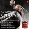 iSatori Creatine A5X Advanced 5-Phase Creatine Monohydrate Powder for Muscle Growth, Strength Building, & Recovery - Dietary Supplement for Training & Weight Lifting - Unflavored (50 Servings) - Image 4