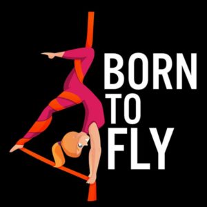 Aerial Yoga Aerial Yoga Born To Fly Fitness Aerial Silk Dancer Notebook: 8.5 x 11 inches