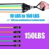Resistance Bands Set with Large Handles, Natural Exercise Rubber Bands Stackable up to 150 lbs, Comes as a Set of 5, Fitness Workout Bands with Ankle Straps, Door Anchor Attachment, Carry Bag - Image 6
