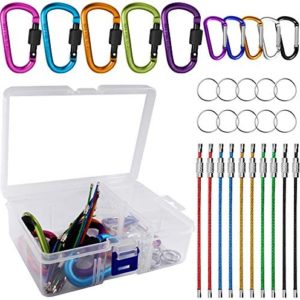 10 Pack Aluminum D-Ring Carabiners, YuCool D Shape Keychain Clips Hook Spring-Loaded for Camping Hiking Fishing, with 10 Stainless Steel Wire Keychains, 10 Key Rings - Multi-Color