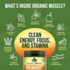 Organic Muscle Natural Pre Workout Powder for Men & Women - USDA Organic Vegan Pre-Workout for Energy, Focus & Stamina - Keto, Non-GMO, Clean Natural Energy Drink Powder - Passionfruit Guava- 20 Serv - Image 5