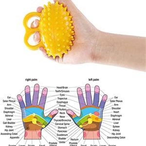 Hand Therapy Ball Finger Ball Exerciser Grip Ball & Hand Strengthener Trainer Balls for Arthritis Finger Physical Training Tool Elderly Hand Ball Strength Squeeze Flexible