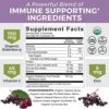 Organic Elderberry Gummies with Zinc and Vitamin C (120 Count) - Two-Month Supply, Certified USDA Organic 3-in-1 Chewable Sambucus Elderberry Gummies, Immune Support Supplement - Image 6