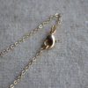 Daisy Ivory Real Flowers Transparent Glass Bottle 18k Gold Plated Chain Long Necklace - Image 8