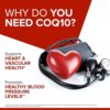 CoQ10 100mg Softgels - Qunol Ultra 3x Better Absorption Coenzyme Q10 Supplements - Antioxidant Supplement For Vascular And Heart Health & Energy Production - 8 Month Supply - 120 Count (Pack of 2) - Image 5
