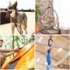 12PCS Carabiner Clips Set - 4pcs 12KN Heavy Duty Caribeaners 8pcs 66lbs Lightweight Caribeener Clips,D Ring Key Clip for Hammocks Camping Accessories Hiking Gym Keychain Locking Dog Leash and Harness - Image 5
