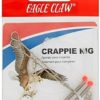Lazer Ready RIG-18 WITH1-1/2OZ Egg Sinker - Image 5