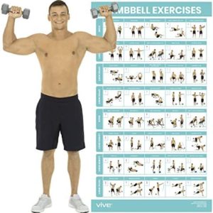 Vive Dumbbell Workout Poster - Home Gym Exercise for Upper, Lower, Full Body - Laminated Bodyweight Chart for Back, Arm, Core and Legs - Free Weight Building Guide For Men, Women, Elderly (30" x 17")