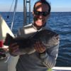 Blackfish Snafu Rig - 1, 5 &10 Pack Option -Size 3/0 BKK Bait Hook - 60lb Heavy Duty Mono, Dropper Loop - Hand Tied - Uncle Mo’s Saltwater Tackle Savage 17 Fathom Tautog Rig - Image 6