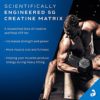 Creatine Powder | MuscleTech Cell-Tech Elite Creatine Powder | Post Workout Recovery Drink | Muscle Builder for Men & Women | Creatine HCl Supplement | ICY Berry Slushie (20 Servings) - Image 2