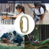 FUSION Climb Ovatti Steel Auto Lock Oval-Shaped Carabiner (FP-9108-GLD) - Image 6