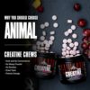 Animal Creatine Chews Tablets - Enhanced Creatine Monohydrate with AstraGin to Improve Absorption, Sea Salt for Added Pumps, Delicious and Convenient Chewable Tablets - Grape - Image 3