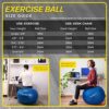 URBNFit Exercise Ball - Yoga Ball for Workout Pregnancy Stability - AntiBurst Swiss Balance Ball w/ Pump - Fitness Ball Chair for Office, Home Gym - Image 2