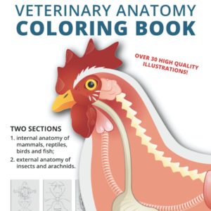 Veterinary Anatomy Coloring Book: Animal anatomy coloring book. Vet tech anatomy coloring book | Veterinary books for kids, students and adults