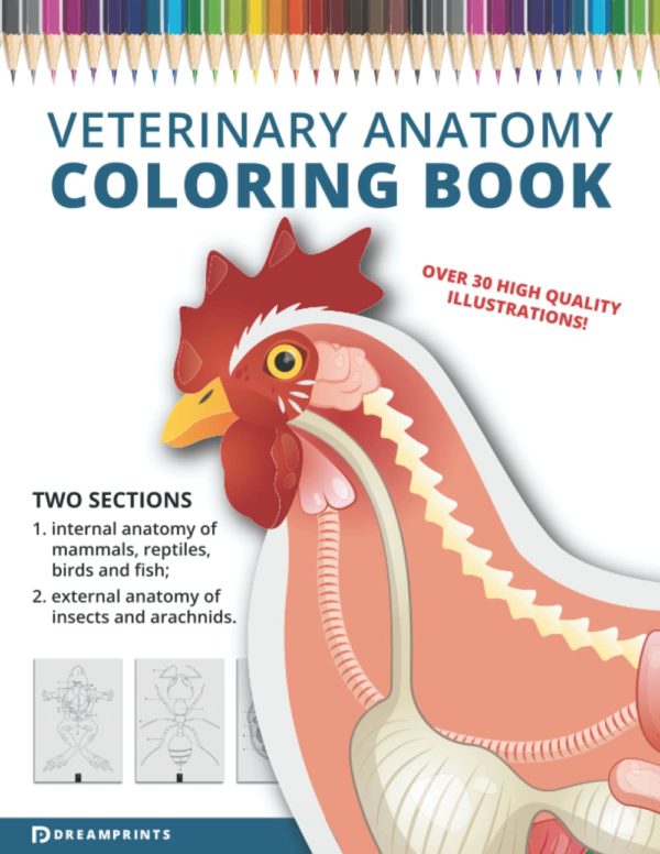 Veterinary Anatomy Coloring Book: Animal anatomy coloring book. Vet tech anatomy coloring book | Veterinary books for kids, students and adults