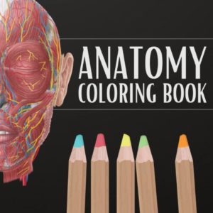 Anatomy coloring book: Instructive Guide to the Human Body, Bones, Muscles, Blood, Nerves and How They Work, Fun Way to Learn Human Anatomy for Adults, Teens, Doctors, Nurses and Students