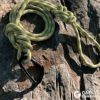 GM CLIMBING Screwgate Locking Carabiner CE UIAA Certified Heavy Duty for Rock Climbing Mountaineering Rigging Belaying Caving Lightweight Outdoor Equipment - Image 8