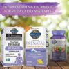 Organics Prenatal Gummy Vitamins - Berry - Organic, Non-GMO, Vegan, Kosher Complete Multi - Methyl B12, D3 & Folate - Gluten, Soy & Dairy Free - 120 Real Fruit Chew Gummies - Image 11