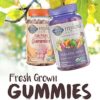 Organics Prenatal Gummy Vitamins - Berry - Organic, Non-GMO, Vegan, Kosher Complete Multi - Methyl B12, D3 & Folate - Gluten, Soy & Dairy Free - 120 Real Fruit Chew Gummies - Image 12
