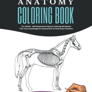 Horse Anatomy Coloring Book For Adults - Self Assessment Equine Coloring Workbook: Test Your Knowledge - For Equestrians & Veterinary Students