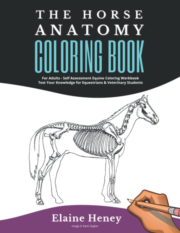 Horse Anatomy Coloring Book For Adults - Self Assessment Equine Coloring Workbook: Test Your Knowledge - For Equestrians & Veterinary Students