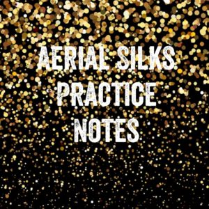Aerial Silks Practice Notes Aerial Silks: Notebook for Coaching Tips and Goal Setting - Pocket Edition (The Pocket Coach Journal Series) (gold glitter Version 1)