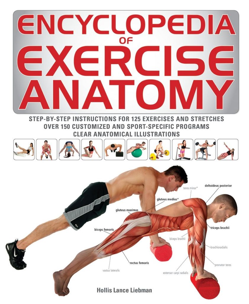 Encyclopedia of Exercise Anatomy (Anatomy of) - AerialFitness