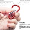 40 PCS Carabiner Clip Keychain 2" Aluminum D-Ring Spring Loaded Gate Small Keychain Carabiners Clip Multipurpose for Outdoor Camping Mini Lock Hooks Snap Link Durable Carabineer+20Pcs Steel Rings - Image 6