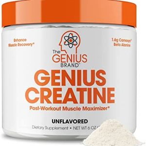 Genius Creatine Powder – Pro Post Workout Recovery Drink for Lean Muscle Gain | Creapure Monohydrate & Beta Alanine | Natural Anabolic Mass Gainer for Men & Women - Serious Muscle Builder, 170G