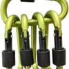 GearHill Aluminum Carabiner Clip D Ring Shape 3" Spring Link, Screw Lock Hooks, Durable Strong and Lightweight - Image 6