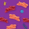Annie's Organic Summer Strawberry Bunny Fruit Snacks, Gluten Free, 0.8 Ounce (Pack of 5) - Image 2