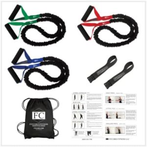 Portable Home Gym-Includes 3 Covered Resistance Bands, 2 Anchors, Carry Bag and Workout Guide (American Made)- by FitCord