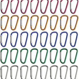WODE Shop 40 Pieces Locking Carabiner, D-Shaped Carabiner Aluminum Keychain Clip Hook for Camping Hiking (5 Colors)