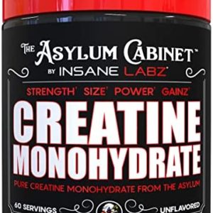 Insane Labz Insane Creatine Monohydrate Powder - Unflavored, Pre Workout, Post Workout, Strength Size Power - 60 Srvgs