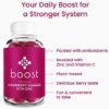 Boost Premium Elderberry Gummies with Zinc (60ct) | Zinc & Vitamin C Elderberry Gummies for Adults | Non-GMO, Vegan Sambucus Black Elderberry Gummy Vitamins - Image 3