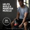 Optimum Nutrition Gold Standard 100% Whey Protein Powder, Strawberry & Cream, 5 Pound (Packaging May Vary) - Image 4
