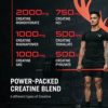 Bucked Up Six Point Creatine™ Six Types of Creatine - for Men and Women - Image 3