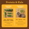 Amazing Grass Vegan Protein & Kale Powder: 20g of Organic Protein + 1 Cup Leafy Greens per Serving, Chocolate, 15 Servings - Image 5